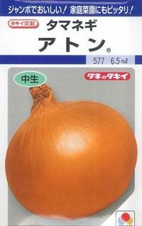 送料無料　[たまねぎ]　アトン　5.5ml(約540粒)　タキイ種苗(株)　DF