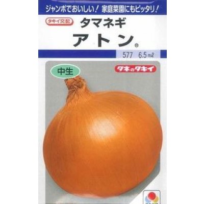 画像1: 送料無料　[たまねぎ]　アトン　5.5ml(約540粒)　タキイ種苗(株)　DF