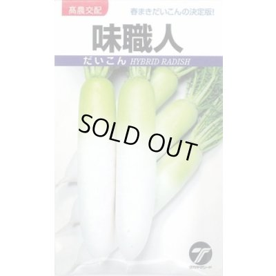 画像1: 送料無料　[大根]　味職人　10ml　(株)タカヤマシード