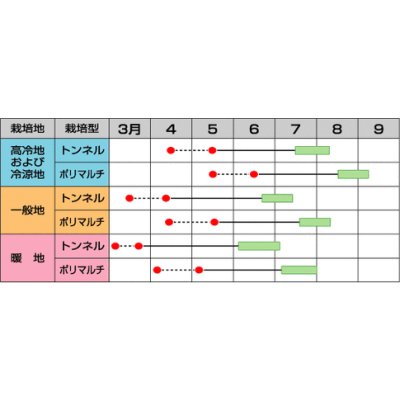 画像4: 送料無料 [とうもろこし] ゴールドラッシュ86 200粒 (株)サカタのタネ