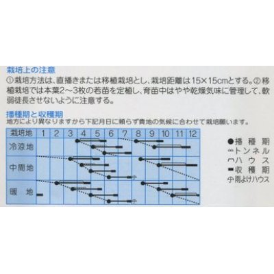 画像2: [中国野菜]　チンゲンサイ　平成5号 10ml　 （株）タカヤマシード