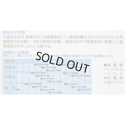 画像2: 送料無料　[中国野菜]　チンゲンサイ　平成5号　10ml　(株)タカヤマシード