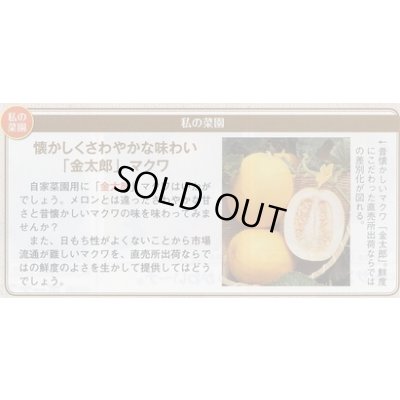 画像2: 送料無料　[瓜類]　マクワ　金太郎　60粒　タキイ種苗(株)　DF