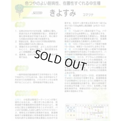 画像2: 送料無料　[小松菜]　きよすみ　2dl　（株）サカタのタネ