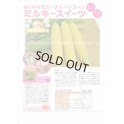 画像2: [とうもろこし]　ミルキースイーツ　2000粒　トキタ種苗(株)