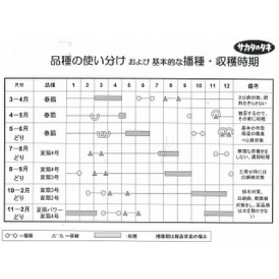 画像4: 送料無料 [ねぎ] 冬扇3号 20ml (裸種子) (株)サカタのタネ