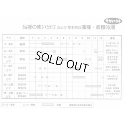 画像4: 送料無料　[ねぎ]　冬扇3号　1dl　(裸種子)　(株)サカタのタネ