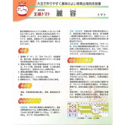 画像4: 送料無料　[トマト]　麗容　1000粒　(株)サカタのタネ