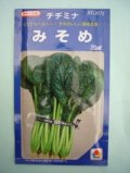 送料無料　[葉物]　みそめ　20ml　タキイ種苗(株)