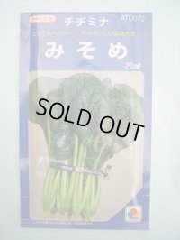 みそめ 20ml タキイ種苗(株)