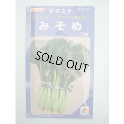 画像1: みそめ 20ml タキイ種苗(株)
