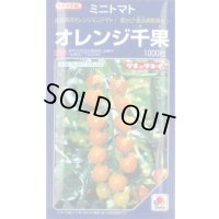 送料無料　[トマト/ミニトマト]　オレンジ千果　1000粒　タキイ種苗(株)