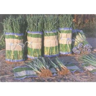 画像3: 農業資材　マキマキ　(ネギ用包装ネット)　宇部日東化成株式会社