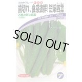 送料無料　[キュウリ]　万里の香り　1.2ml　(株)タカヤマシード
