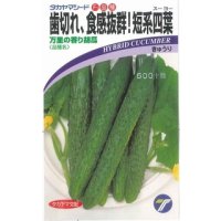 送料無料　[キュウリ]　万里の香り　1.2ml　(株)タカヤマシード