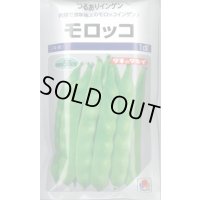 送料無料　[いんげん]　モロッコ　1dl　タキイ種苗(株)