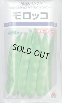 送料無料　[いんげん]　モロッコ　1dl　タキイ種苗(株)