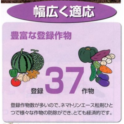 画像5: 農薬　殺線虫剤　ネマトリンエース粒剤　5kg