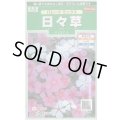送料無料　花の種　日々草　パレードミックス　約100粒　(株)サカタのタネ　実咲250（026265）