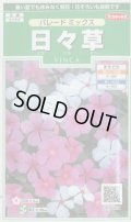 送料無料　花の種　日々草　パレードミックス　約100粒　(株)サカタのタネ　実咲250（026265）