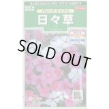 送料無料　花の種　日々草　パレードミックス　約100粒　(株)サカタのタネ　実咲250（026265）