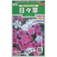 花の種　日々草　パレードミックス　約100粒　　サカタのタネ（株）実咲250