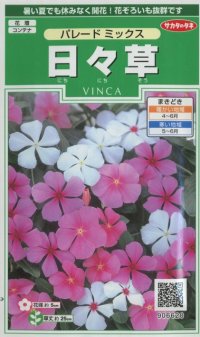 花の種　日々草　パレードミックス　約100粒　　サカタのタネ（株）実咲250