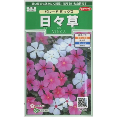 画像1: 花の種　日々草　パレードミックス　約100粒　　サカタのタネ（株）実咲250