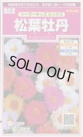 送料無料　花の種　松葉牡丹　ソーラーキッズ　ミックス　約143粒　(株)サカタのタネ　実咲350（026164）