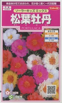 花の種　松葉牡丹　ソーラーキッズ ミックス　約143粒　サカタのタネ（株）実咲350