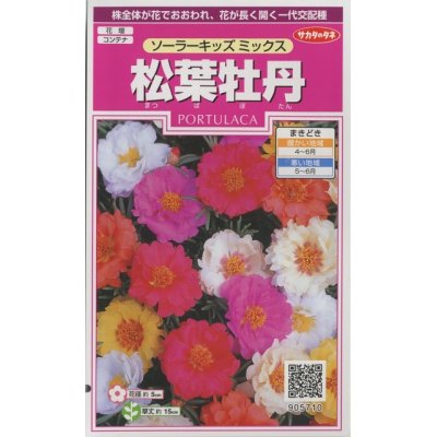 画像1: 花の種　松葉牡丹　ソーラーキッズ ミックス　約143粒　サカタのタネ（株）実咲350