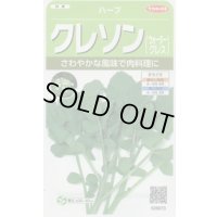 送料無料　[ハーブの種]　クレソン　約1100粒　(株)サカタのタネ　実咲（003180）