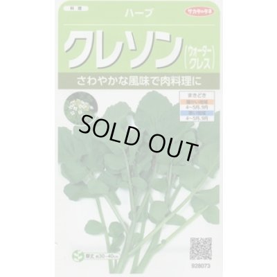 画像1: [ハーブの種] クレソン 約1100粒 (株)サカタのタネ 実咲250(003180)