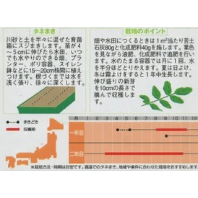 画像2: [ハーブの種]　クレソン　約1100粒　　サカタのタネ　実咲