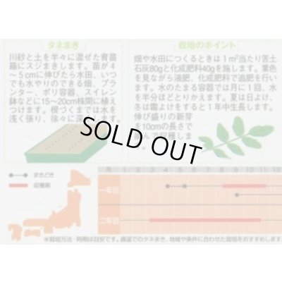 画像2: [ハーブの種] クレソン 約1100粒 (株)サカタのタネ 実咲250(003180)