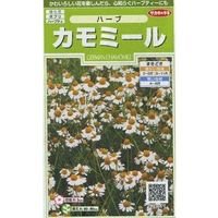 [ハーブの種]　カモミール　約4150粒　　サカタのタネ　実咲