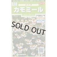 送料無料　[ハーブの種]　カモミール　約4150粒　(株)サカタのタネ　実咲（003179）