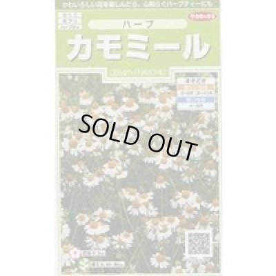 画像1: 送料無料　[ハーブの種]　カモミール　約4150粒　(株)サカタのタネ　実咲（003179）