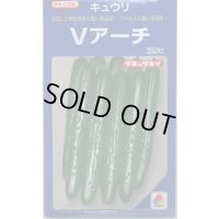 [キュウリ] Ｖアーチ 350粒 タキイ種苗(株)