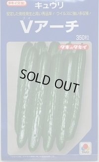 [キュウリ] Ｖアーチ 350粒 タキイ種苗(株)