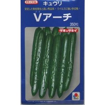 画像1: 送料無料　[キュウリ]　Ｖアーチ　350粒　タキイ種苗(株)