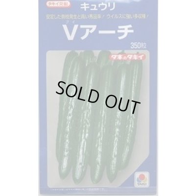 画像1: [キュウリ] Ｖアーチ 350粒 タキイ種苗(株)