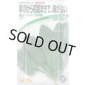 送料無料　[ほうれんそう]　晩抽スタミナ　法蓮草　30ml　(株)タカヤマシード