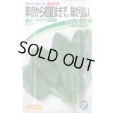 送料無料　[ほうれんそう]　晩抽スタミナ　法蓮草　30ml　(株)タカヤマシード