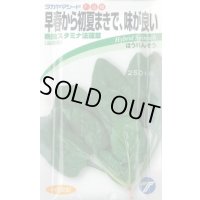 送料無料　[ほうれんそう]　晩抽スタミナ　法蓮草　30ml　(株)タカヤマシード