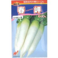 送料無料　[大根]　春岬　180粒　渡辺農事（株）