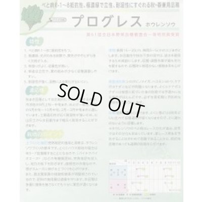 画像3: [ほうれんそう]　プログレス　種子サイズ：L　2万粒　（株）サカタのタネ