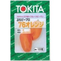 [ピーマン]　送料無料！　ぷちピープロ　オレンジ　100粒　トキタ種苗（株）