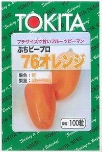 [ピーマン]　送料無料！　ぷちピープロ　オレンジ　100粒　トキタ種苗（株）