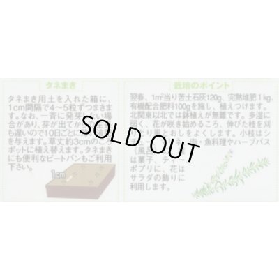 画像2: 送料無料　[ハーブの種]　ローズマリー　約65粒　(株)サカタのタネ　実咲（003194）